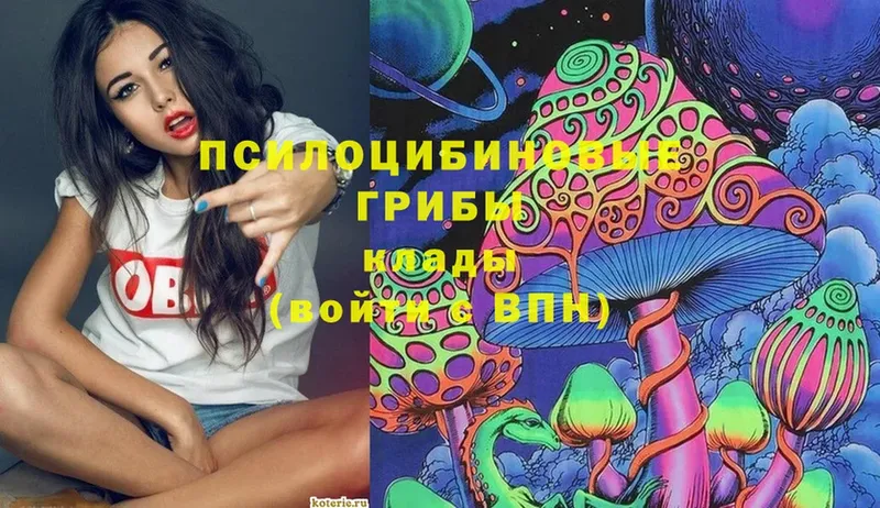 как найти закладки  Кудымкар  Псилоцибиновые грибы Psilocybe 